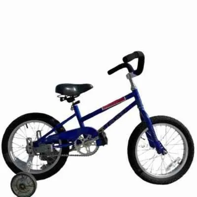 16 Inch Bike with Training Wheels Bike Rental Seabrook Island