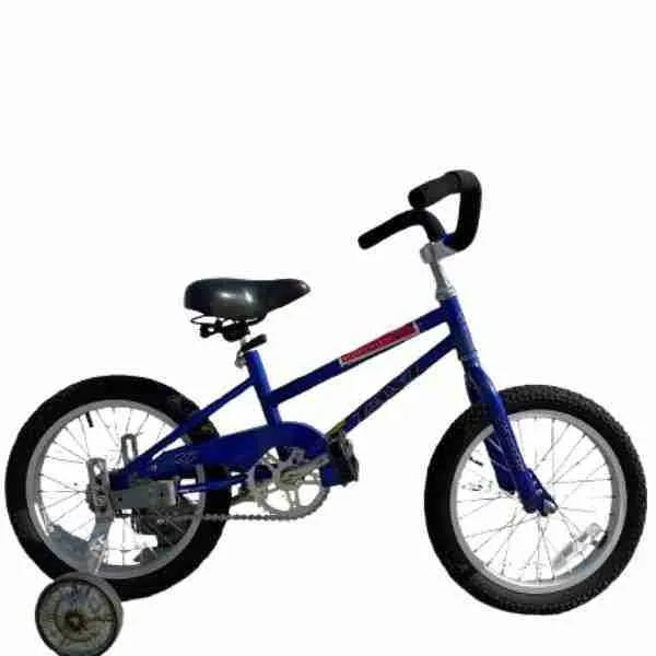 16 Inch Bike with Training Wheels Bike Rental Seabrook Island