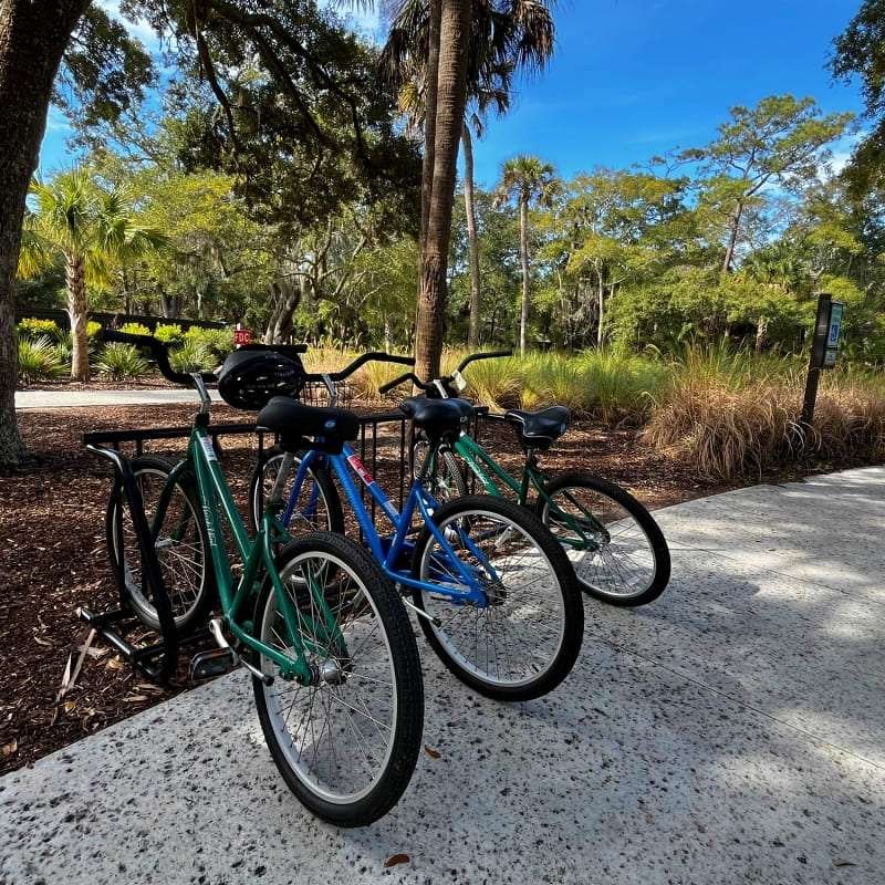 Family bike rentals on Seabrook Island